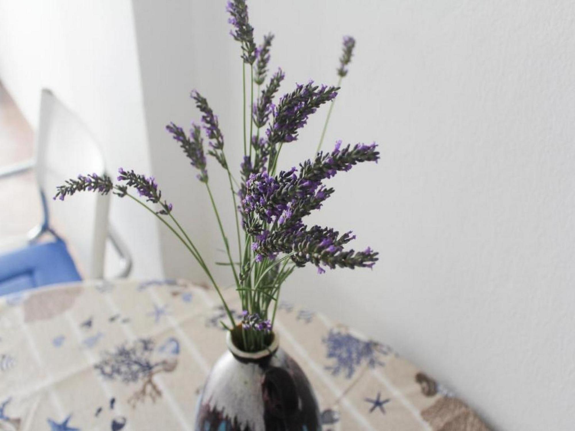 Apartmani Lucia Biograd Biograd na Moru Szoba fotó